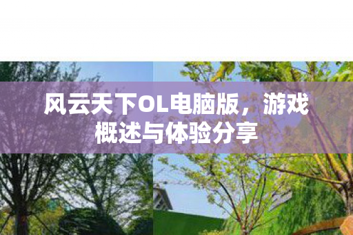 风云天下OL电脑版图片