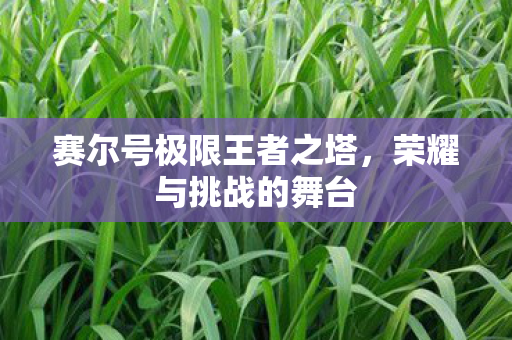 赛尔号极限王者之塔图片