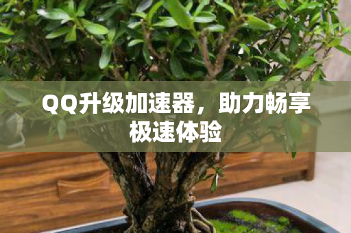 助力畅享极速体验图片