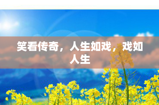 笑看传奇图片