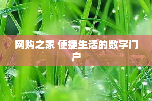网购之家 便捷生活的数字门户图片