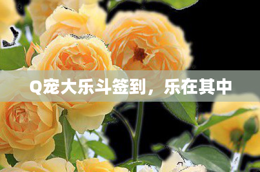 Q宠大乐斗签到图片