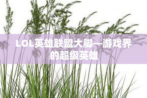 LOL英雄联盟大脚图片
