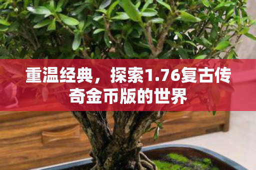76复古传奇金币版的世界图片