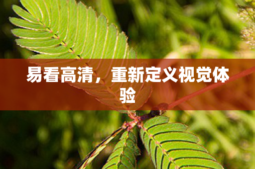 重新定义视觉体验图片