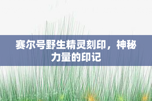 赛尔号野生精灵刻印图片