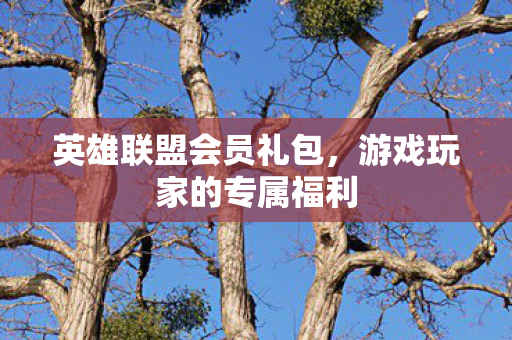 游戏玩家的专属福利图片
