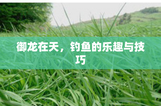 钓鱼的乐趣与技巧图片