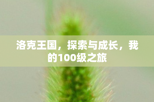 我的100级之旅图片