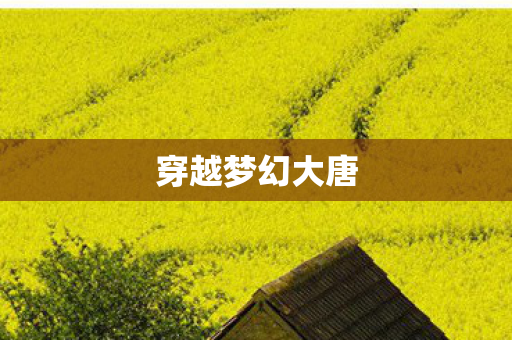 穿越梦幻大唐图片