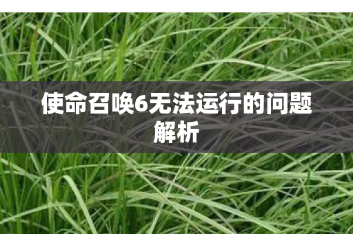 使命召唤6无法运行的问题解析图片