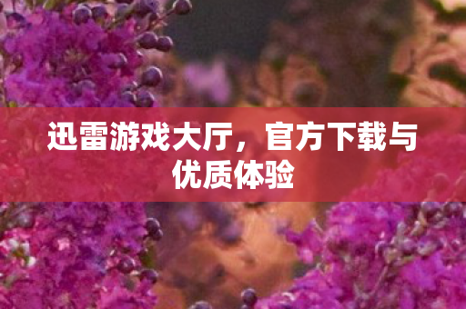 官方下载与优质体验图片