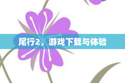 游戏下载与体验图片