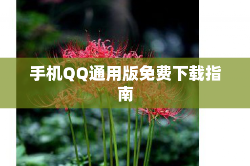 手机QQ通用版免费下载指南图片