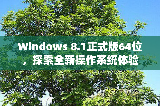 探索全新操作系统体验图片