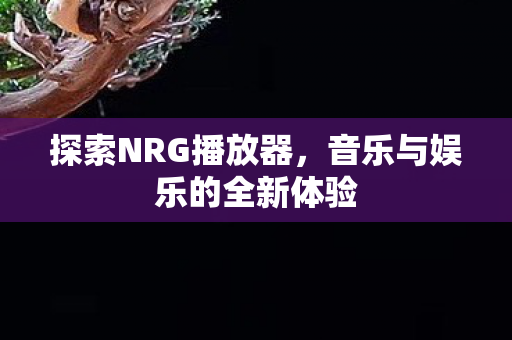 音乐与娱乐的全新体验图片