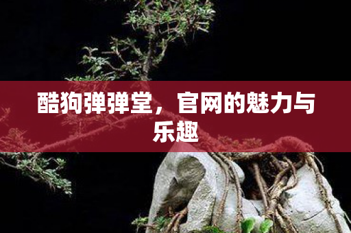 官网的魅力与乐趣图片