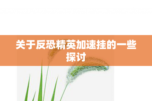 关于反恐精英加速挂的一些探讨图片