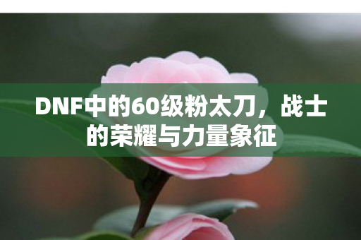 DNF中的60级粉太刀图片