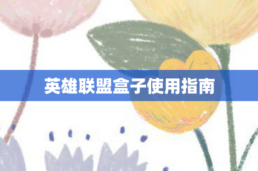英雄联盟盒子使用指南图片