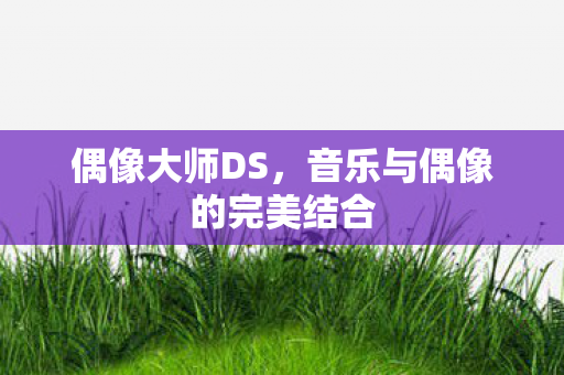 音乐与偶像的完美结合图片