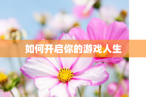 如何开启你的游戏人生图片