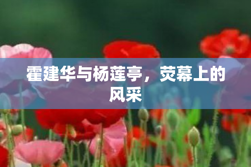 霍建华与杨莲亭图片