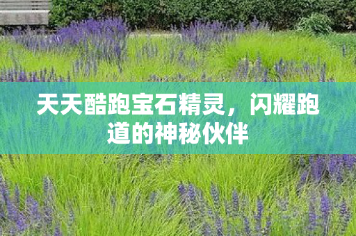 闪耀跑道的神秘伙伴图片
