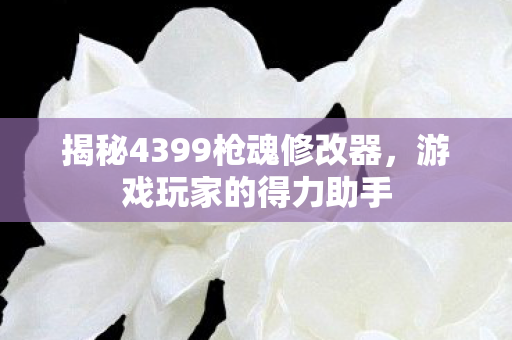 揭秘4399枪魂修改器图片