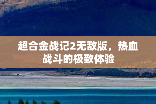超合金战记2无敌版图片