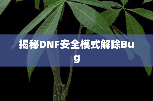 揭秘DNF安全模式解除Bug图片