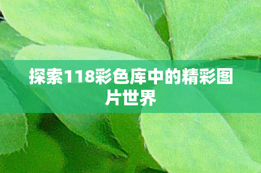 探索118彩色库中的精彩图片世界图片