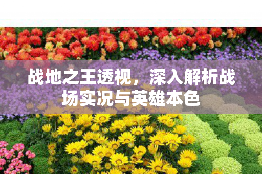 深入解析战场实况与英雄本色图片