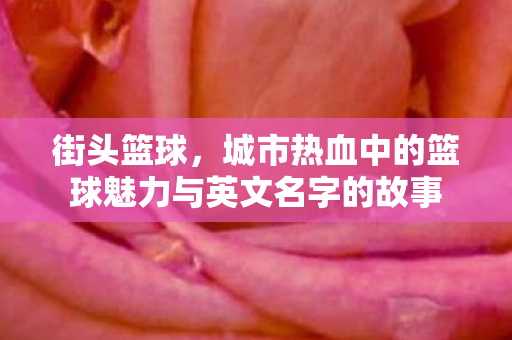城市热血中的篮球魅力与英文名字的故事图片
