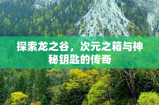 次元之箱与神秘钥匙的传奇图片