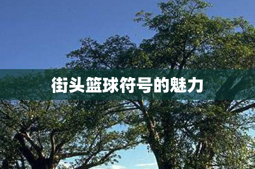 街头篮球符号的魅力图片