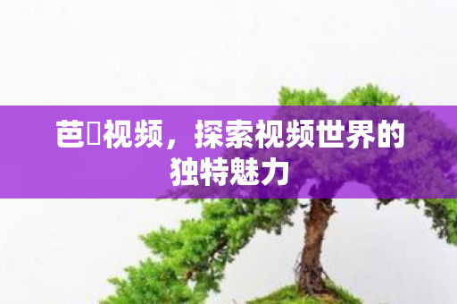 探索视频世界的独特魅力图片