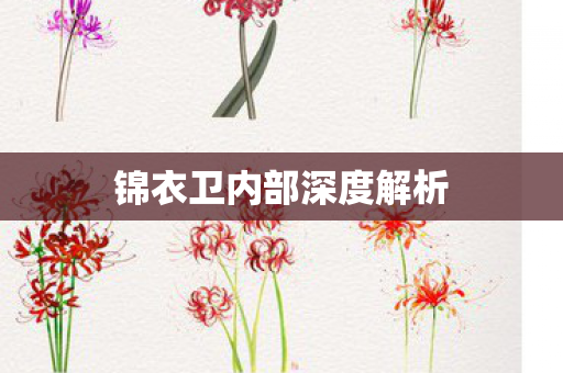 锦衣卫内部深度解析图片