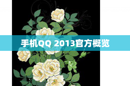 手机QQ 2013官方概览图片