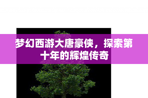 探索第十年的辉煌传奇图片