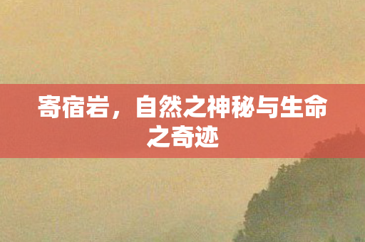 自然之神秘与生命之奇迹图片