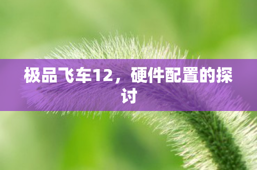 硬件配置的探讨图片