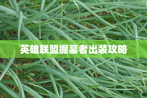 英雄联盟掘墓者出装攻略图片
