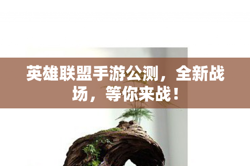 英雄联盟手游公测图片