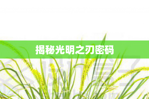 揭秘光明之刃密码图片