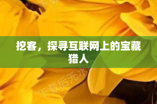 探寻互联网上的宝藏猎人图片
