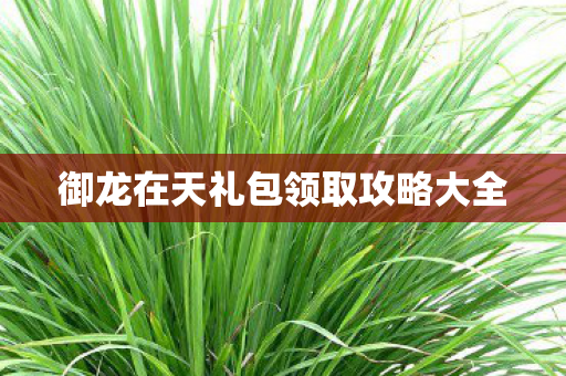 御龙在天礼包领取攻略大全图片