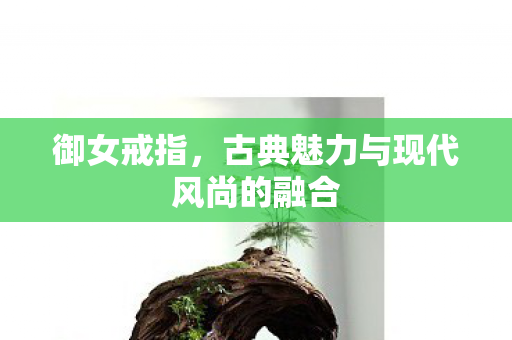 古典魅力与现代风尚的融合图片