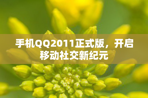 手机QQ2011正式版图片