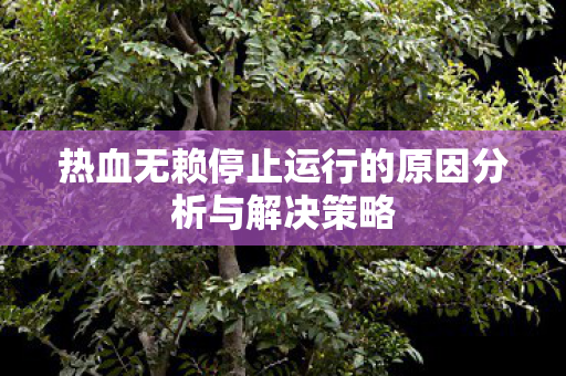 热血无赖停止运行的原因分析与解决策略图片